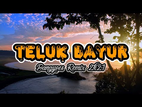 TELUK BAYUR - Bangyoes Remix || NEW DISCO TANAH 2K21!!!!!