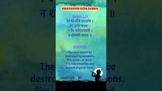 The Soul Cannot Be Destroyed – Bhagavad Gita Wisdom