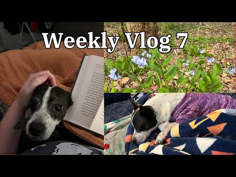 Weekly Vlog 7 (reading all the things!)