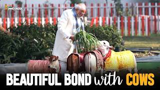 Heartwarming sight 🥰| PM Modi’s gentle bond with cows on Makar Sankranti