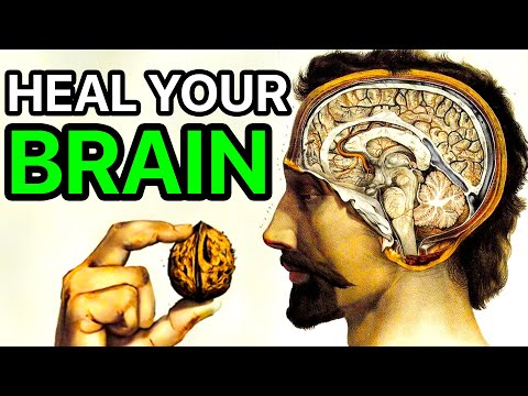 7 Foods That Boost Your Brain, You Can't Stop Being Smart