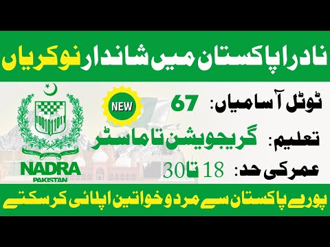 NADRA Jobs 2023 | Nadra jobs | Government jobs in Pakistan | Pk jobs 650