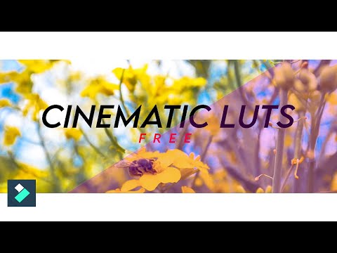Unlocking the Power of Cinematic Luts: Get Yours Now for FREE!