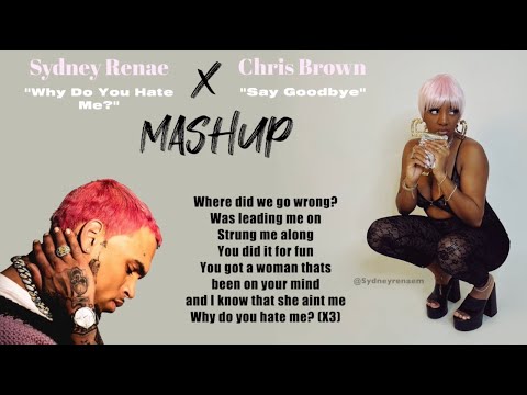 "Why Do You Hate Me" + Chris Brown "Say Goodbye" MASHUP