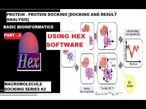 Protein - Protein Docking Part - 2 (Macro-molecule series #2)  Using Hex Software for Beginner's