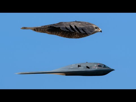 The Secret Behind the World’s Deadliest Stealth Jet Engine
