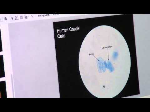 Mandy Pabon - Google Drive