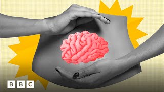 How your ‘second brain’ changes the way you think  | BBC Global