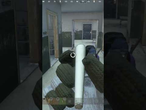 Wanna get high?! #dayz #dayzfunnymoments #dayzexpansion #dayzmod #maryjane #dayzshorts