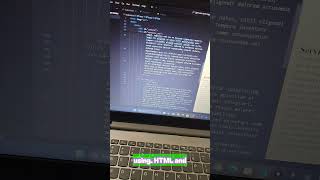 100 Days of Code: Day 2 –  A simple website with dark and white mode #Coding