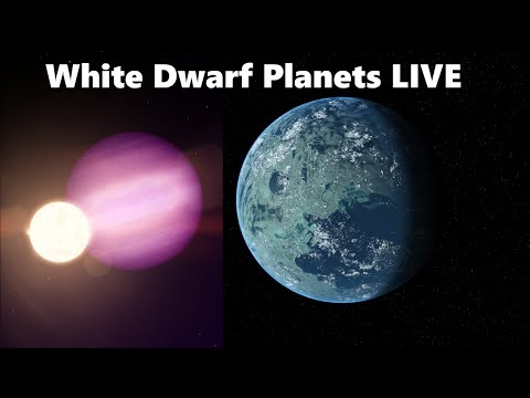 White Dwarf Planets Live Q&A