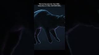 Cat Breaks The Simulation 🐱💥 | Glitch in the Matrix! #shorts