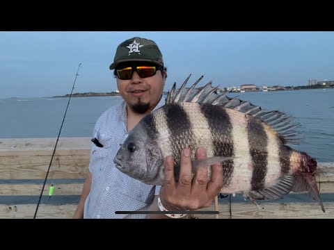 (Español) Pescando Sheepshead En Sur De Texas