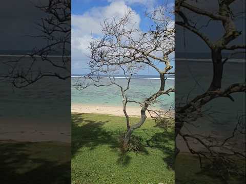 Free beach enjoyment at mauritius #malayalamvlog #travel #dailyvlog #lifeinmauritius