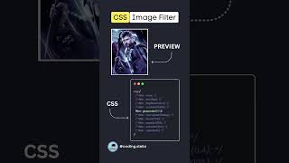 CSS Image Filters #css #html5 #htmlcss #html5css3 #csstips #animation #programmer