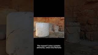 Roman Laundry Secret: Urine.                           #shortsfeed