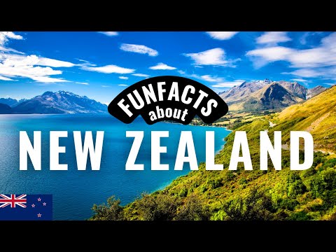 10 Things you HAVE to know about New Zealand!