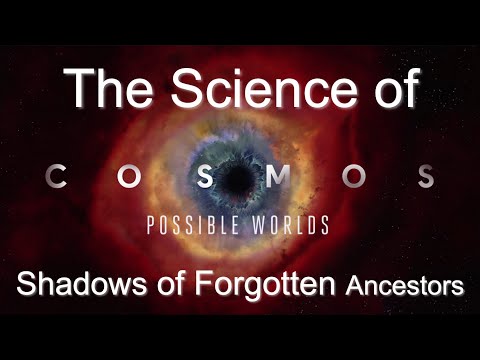 Science of Cosmos: Shadows of Forgotten Ancestors