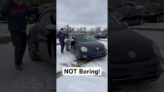 This Beetle is NOT Boring!