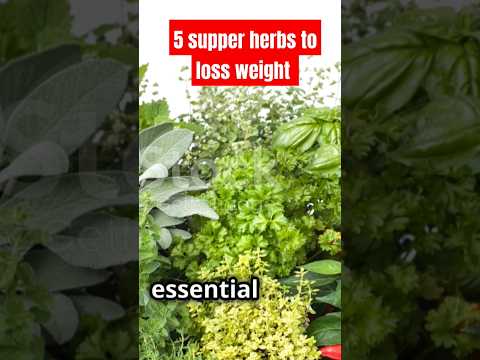 5 Supper Essentials Herbs For Weight Loss #healthylifestyle #health #wellness #fitness #trend #herbs
