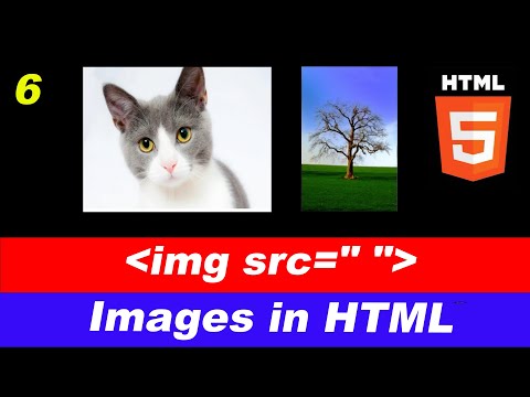 How to Add Images in HTML | img Tag Explained