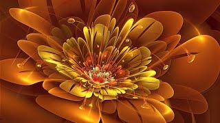 Remove All Negative Blockages Wipe Out Negative Patterns & Beliefs 528 Hz
