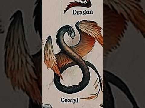 TYPES OF DRAGONS|PART-12|COATYL|REMAKE|#creature #dragon @LIKEMYTH
