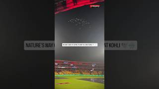 NATURE'S TRIBUTE TO VIRAT KOHLI'S TEST CRICKET CAREER | RCB VS KKR - IPL 2025 | #ViratGang #Shorts