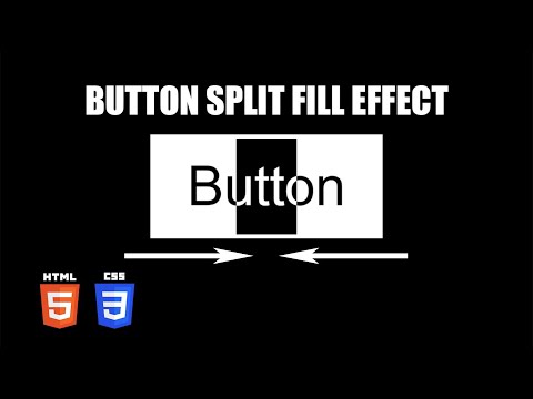 Button Split Fill Hover Effect | HTML & CSS Tutorial