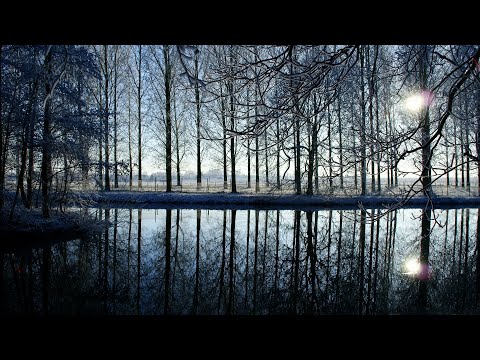 Mofeansy - 點星辰