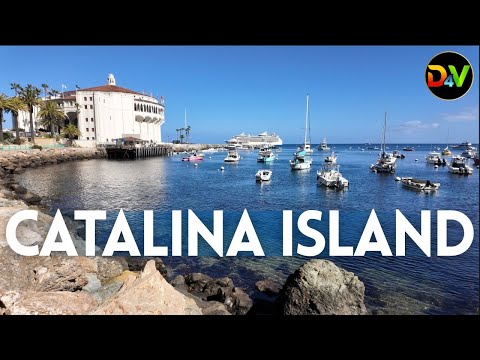 How to Spend a Perfect Day Sightseeing on Catalina Island