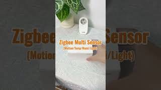 OWON Zigbee Multi Sensor | Motion, Light, Temp & Humidity #smartsensors