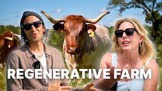 How This Regenerative Farm is Restoring 562 Hectares of Degraded Land in Portugal | TERRAMAY
