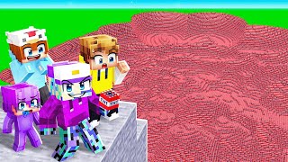 Testing EVERY Minecraft TNT in One Video