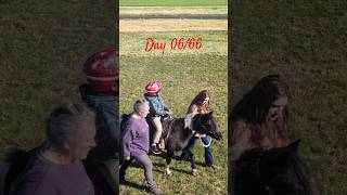 Day 06/66 Back to basics challenge #healthylifestyle #healthyhabits #habitsbuilding