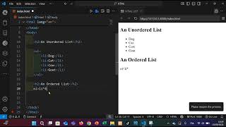 Beginner HTML Guide: Ordered and Unordered Lists. 