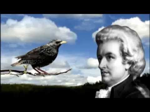 SPACE STORMS - DOCUMENTARY 2016 EARTH