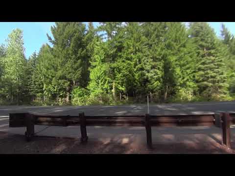 Hearing Squatch