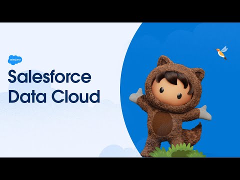 Salesforce Data Cloud - How to become a customer-centric company?