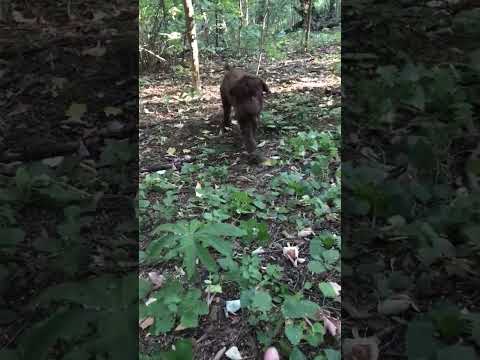 Thank You My Friend 🙏 #shorts #short #shortvideo #viral #viralvideo #foryou #fyp #youtube #friends