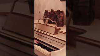 PATRICK BARTLEY, EMMET COHEN, JOE FARNSWORTH & BARRY STEPHENSON | THE JAZZ LIBRARY #jazz #sax #solo