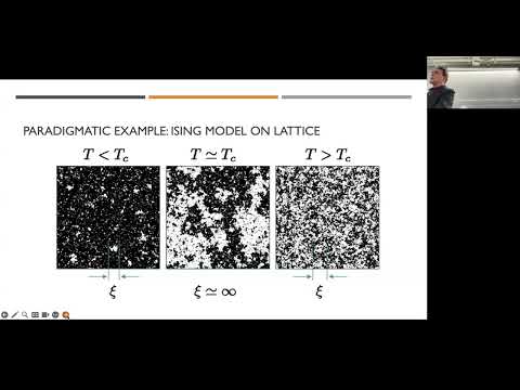 The Laplacian Renormalization Groups (LRG) unveils the organization of networks - Andrea Gabrielli