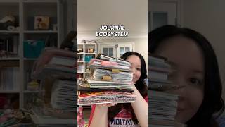 My Journal Ecosystem | 2025 mid year check in #journaling #hobonichi #planners