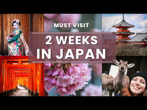 2 Weeks in Japan Vlog: How Many Adventures Can You Fit In?