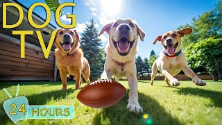 DOG TV for Dogs to Watch: Best Videos Anti-Anxiety for Dogs When Home Alone All Day - Music for Dogs