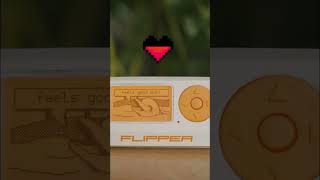 Flipper Zero -Multitool for Hackers #flipperzero #hacksoflife #hacking #gadget #flipperzerotutorials