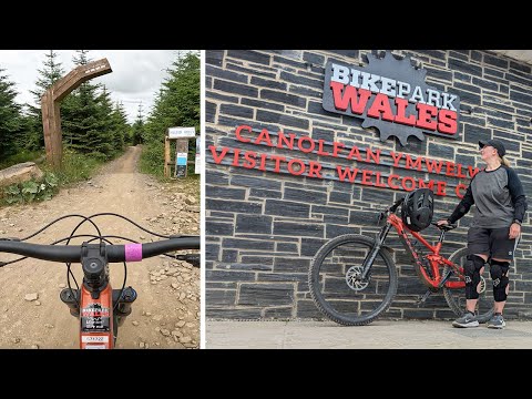 Riding Melted Welly, Blue Belle and Bush Wacker at Bike Park Wales