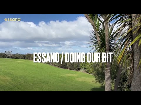 The essano team plant trees!