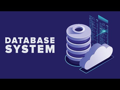 A Beginner's Guide to Database Systems