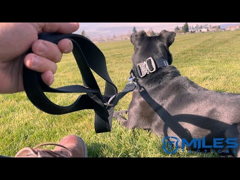 Miles Tactical Heavy Duty Dog Leash Adjustable for Training and Everyday use.